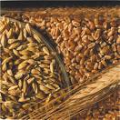 wheat, food storage
